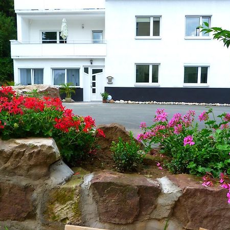 Villa Luise Χάμελν Εξωτερικό φωτογραφία