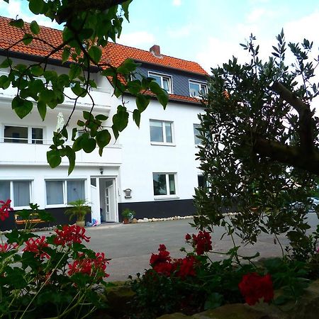 Villa Luise Χάμελν Εξωτερικό φωτογραφία
