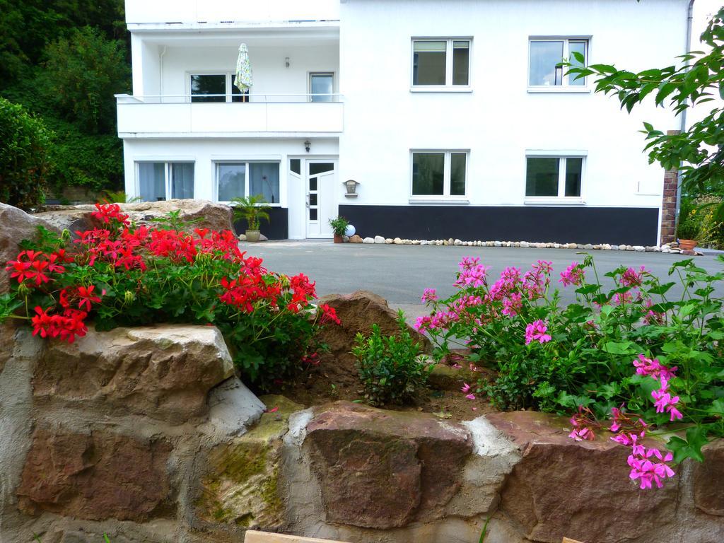 Villa Luise Χάμελν Εξωτερικό φωτογραφία