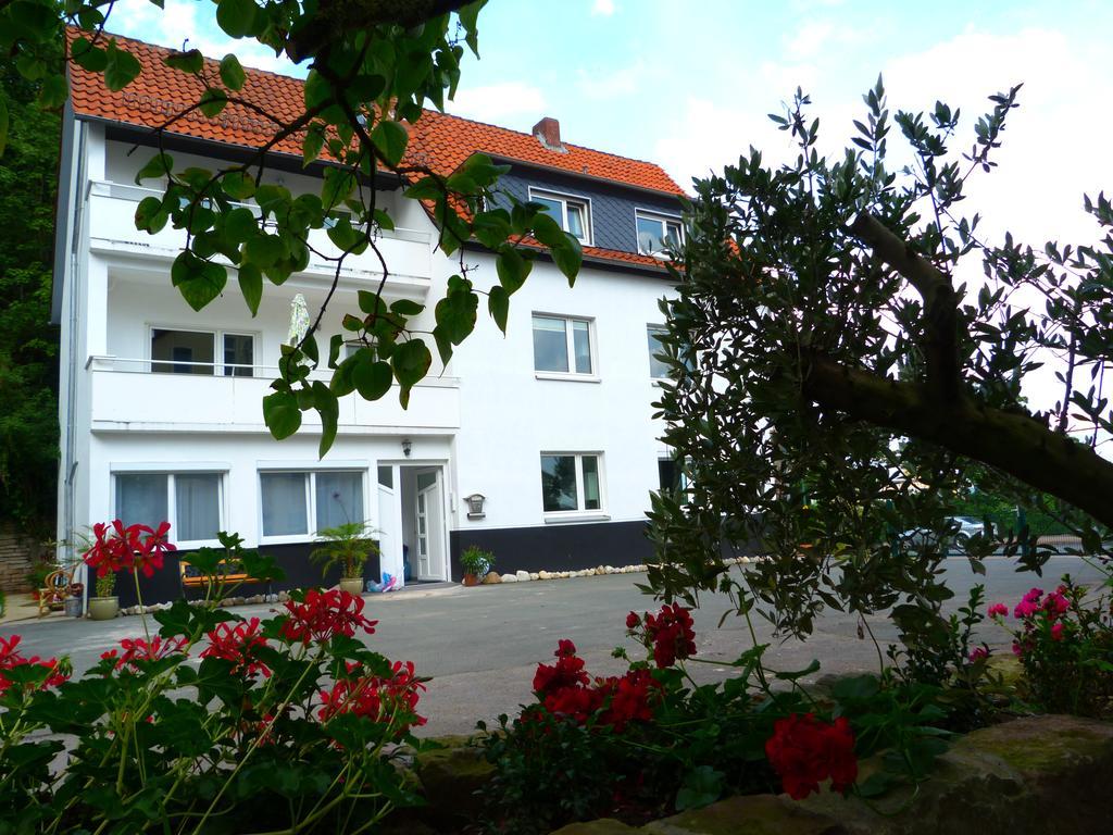 Villa Luise Χάμελν Εξωτερικό φωτογραφία